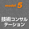 model5 技術コンサルテーション